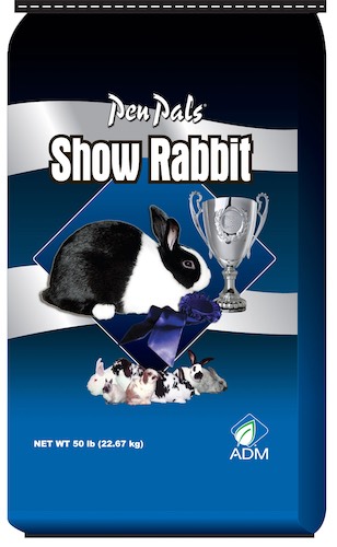 PenPals Rabbit SHOW#2134337