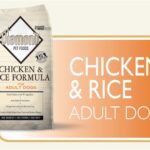 chicken and rice 23-16