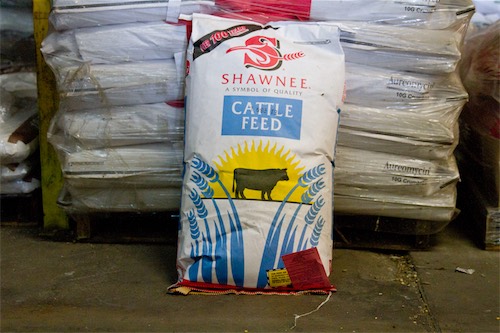 shawnee millings cattle feed
