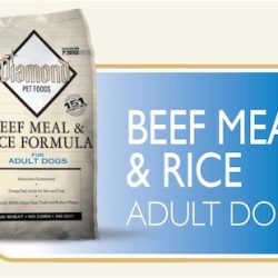 beef meal and rice 25-15