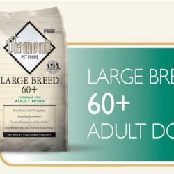 large breed 23-13